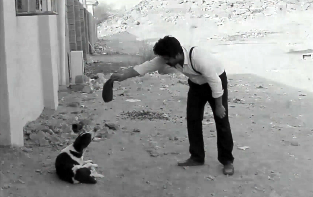 PROFESSIONAL SCAMMER